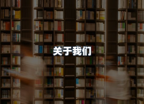专业团队